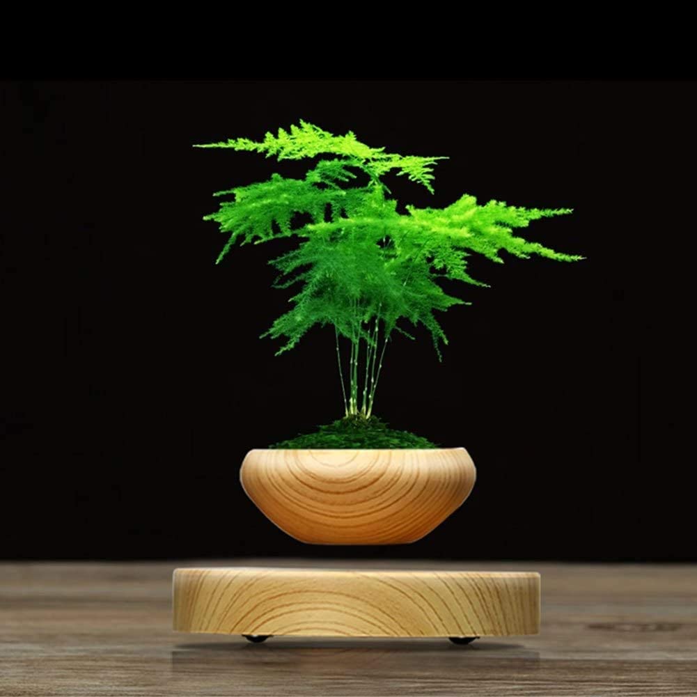 Magnetic Levitation Faux Wooden Bonsai Planter